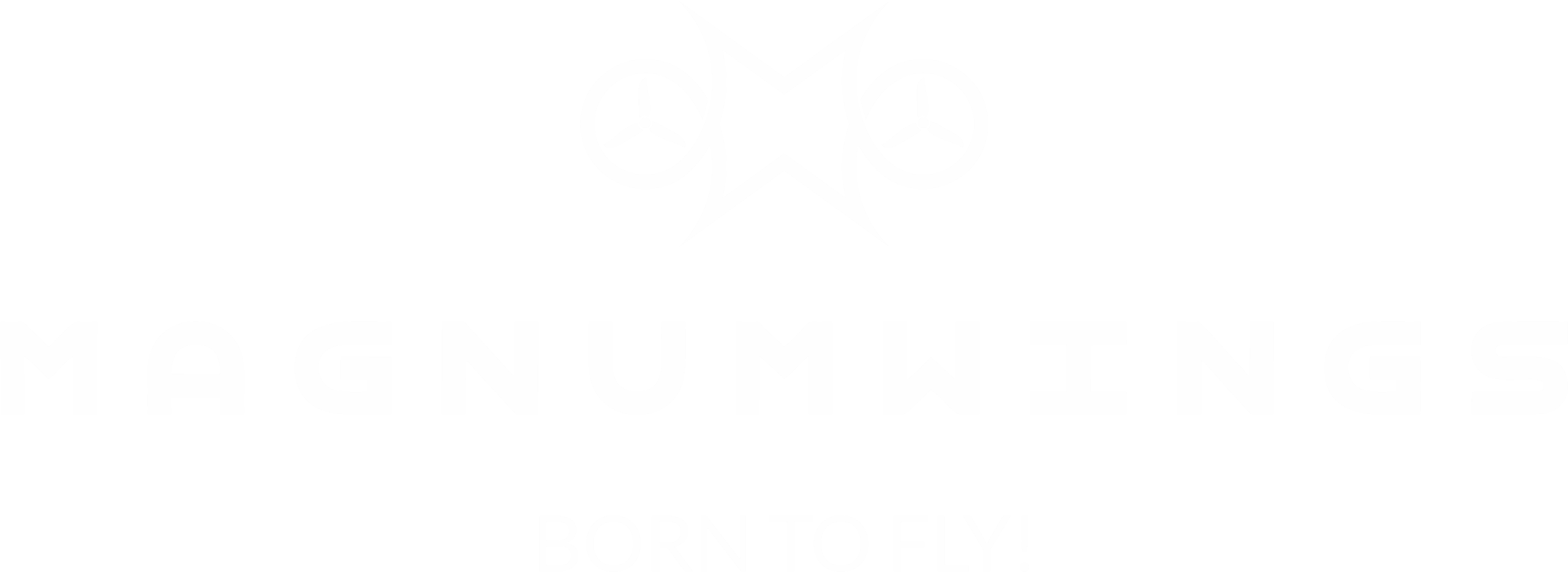 MAGNUMWINGS LOGO